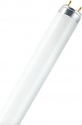 Лампа люминесцентная Osram T8 BASIC линейная l 18w/640 25x1 fed [4008321959652]